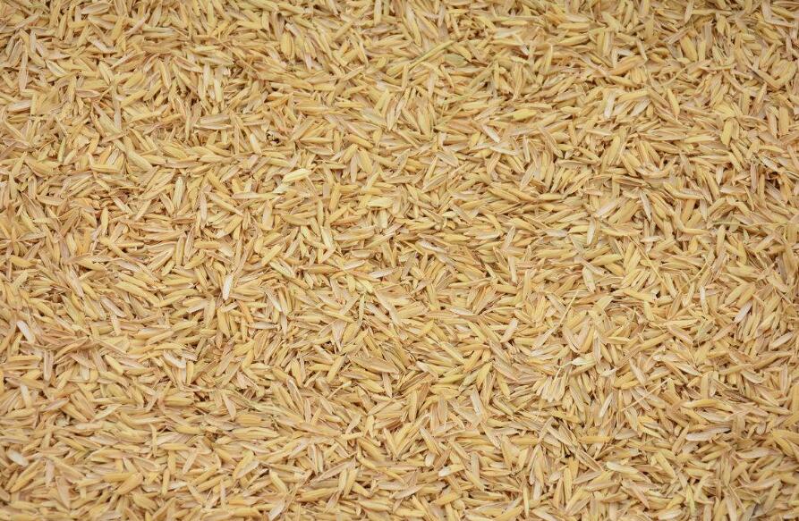 生物质燃料烧制轻质陶粒的优势分析